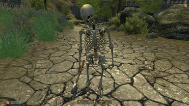 New Skeleton