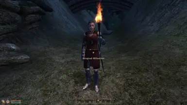 Der Skingrad-Hilfssoldat auf Patrouille zum Friedhof