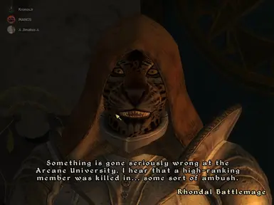 Voice lines concerning the Mages Guild.