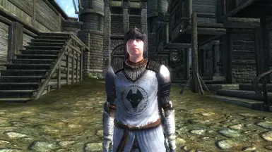 See? Just the normal Kvatch guard armor