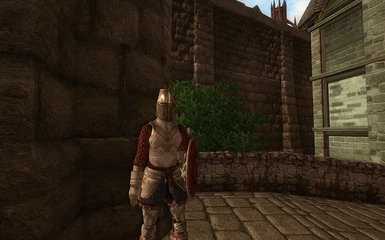 Skingrad Guard, with Full Helm as envisioned by Waalx, except not broken.