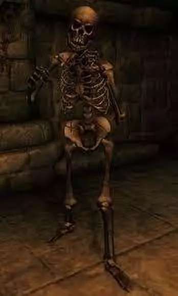 they said upload an image so i did kekw