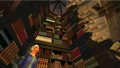The library at the Practice Rooms of the College of Magic in Winterhold