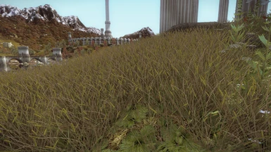 Skrym grass update works very nice with new ORL shadows