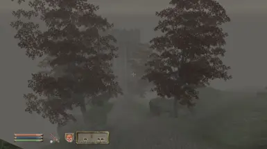Foggy Trees