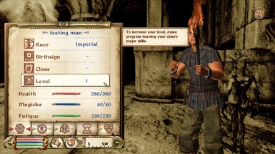 Player character at level 1