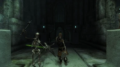 An Undead Darknut and his Skeleton Guardian.