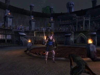 Screenshot from Original Mod Page Showing Spectators for a Night Fight