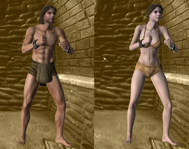 Nude mods for warriors orochi 4