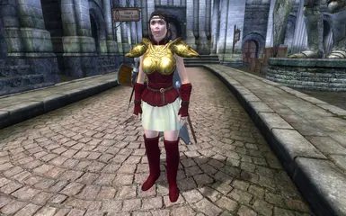 Princess Eirika Armor - Stand Alone
