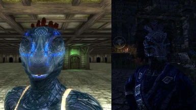 ESO Inspired - Bright-Throat Face Markings as Argonian age head textures