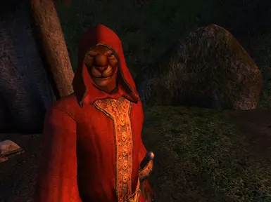 A Rakshasa Company member