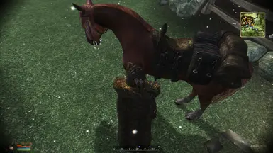 Ranger Horse