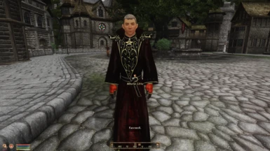 Robes from the Mage Equipment mod.