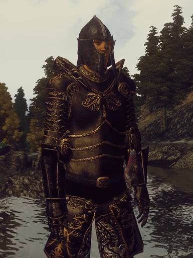 Ebony Gold armor + Imperial helmet