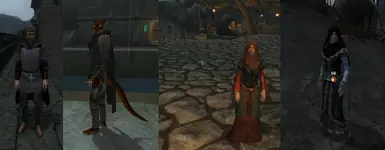 Morroblivion