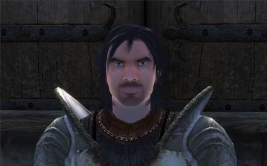 Marcus the Knight - Custom - Voiced - Standalone Follower