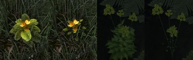 TD Beautiful Garden - Harvest Flora Add-On minor fixes