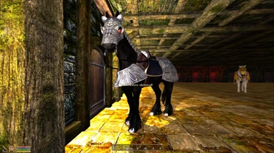 Horse Armor - Zira's Shadowmere Patch