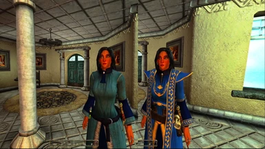 Mage and Arch-Mage robes