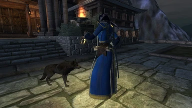 Arch-Mage robe sideview