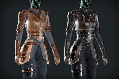 New Leather Armor