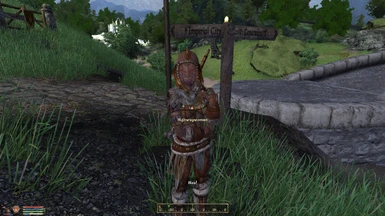 A female Argonian highwaywoman (also using the NPC Idle Animation Restoration and Additions mod).