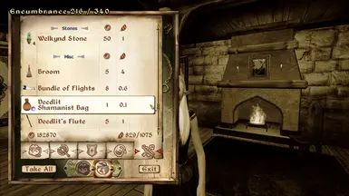 Deedlit's Shamanist Bag in Inventory