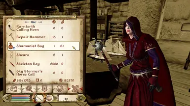 Player's Shamanist Bag in Inventory
