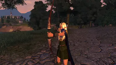 Deedlit's Bow