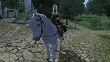 Deedlit on Horse Back