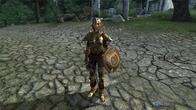 Deedlit in Different Gear