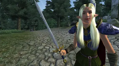 Deedlit's Sword