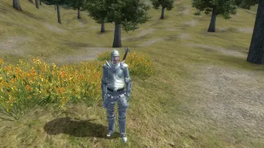 Full set with two-handed weapon