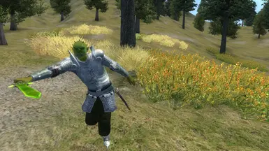Marauder fighting