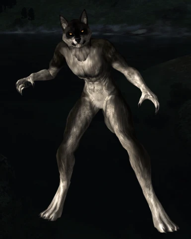 Curse of Hircine Werewolf Bodies Re-imagined (COH)