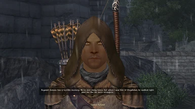 A Crowded Cities Redone - Cyrodiil Collection NPC with a unique name.