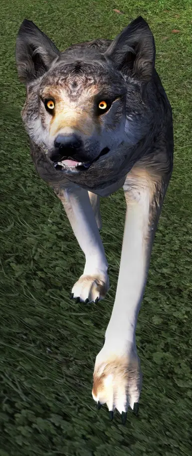 Revamped Vanilla Wolf