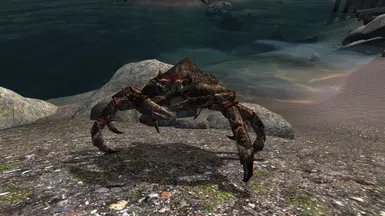 OG Mudcrabs!