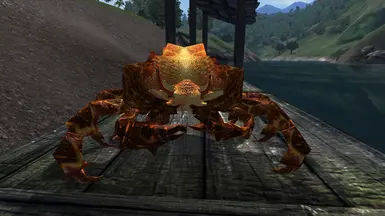 MOO Shore Crab