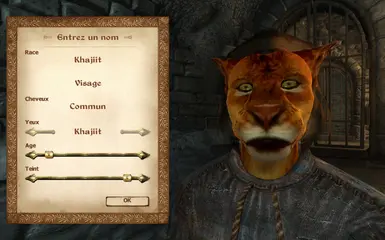 Brawler Male Khajiit