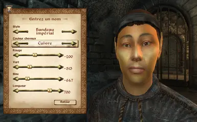 Hero Male Altmer has copper hair color