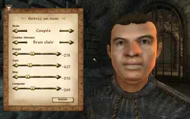 Brawler Male Nord has light brown hair color