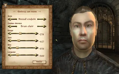 Scheduled for execution high elf guard has light brown hair color