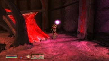 Enemies have a wider selection of spells, including ones added by the Spell Tomes DLC