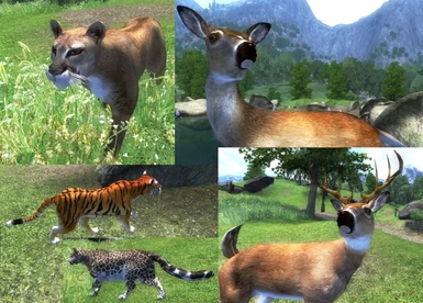 Coop's Mountain Lion and Deer Revamp