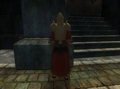 Palace Guard Armor 1.1