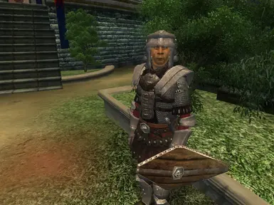 Prison Distric guards wear Veteran Guard Armor (1.2)