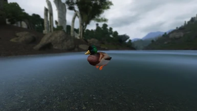 UL - Ducks and Swans for Cyrodiil - Patch