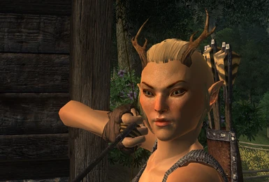 Example, Wood Elf with custom antlers and orcish ears